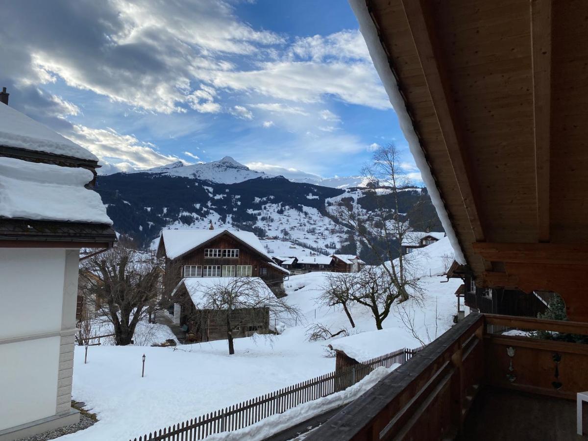 格林德瓦Chalet Elizabeth公寓 外观 照片
